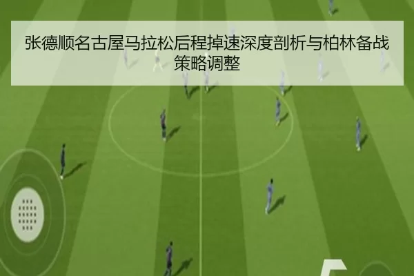 zhang-de-shun-ming-gu-wu-ma-la-song-hou-cheng-diao-su-shen-du-pou-xi-yu-bo-lin-bei-zhan-ce-lve-tiao-zheng-2-697.jpg